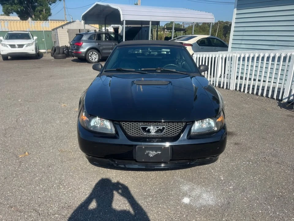 2002 Ford SN95 Mustang - Image 5 of 16