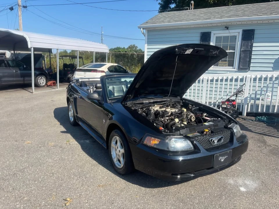 2002 Ford SN95 Mustang - Image 10 of 16