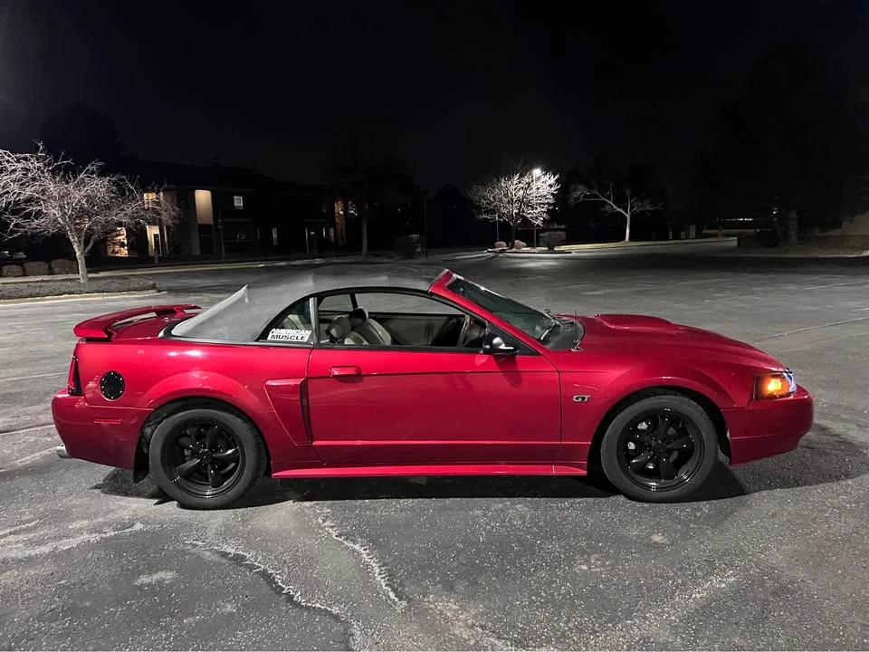 2002 Ford SN95 Mustang - Image 2 of 8