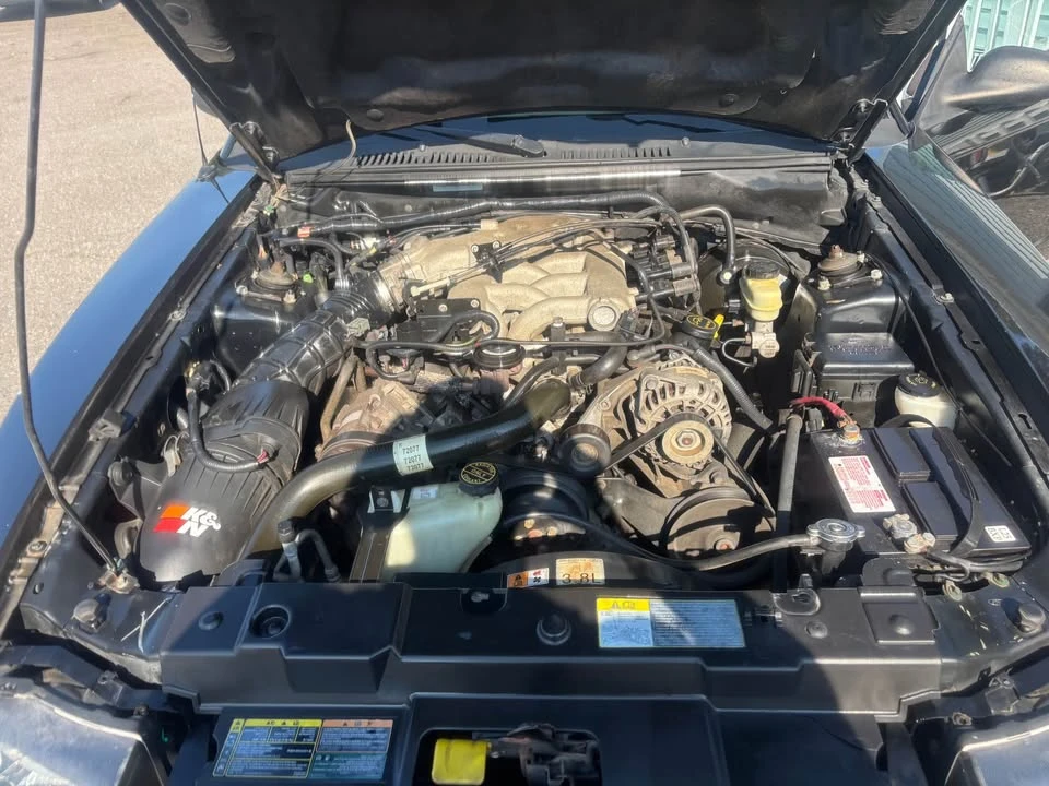 2002 Ford SN95 Mustang - Image 14 of 16