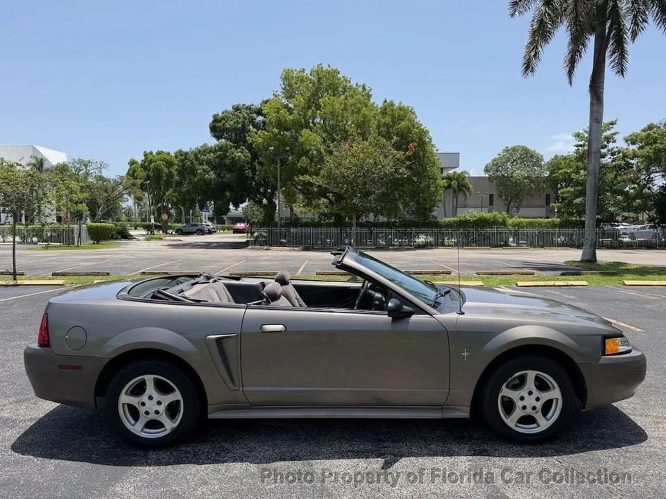 2002 Ford SN95 Mustang - Image 6 of 12