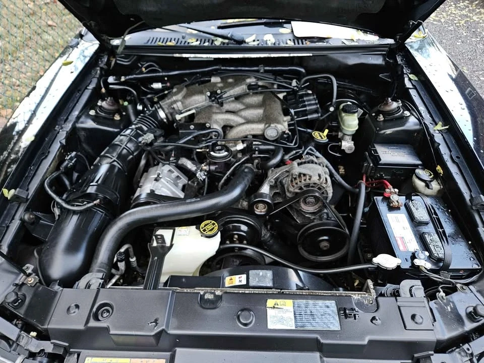 2002 Ford SN95 Mustang - Image 4 of 10