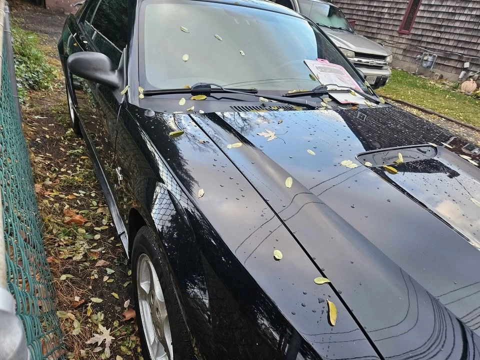 2002 Ford SN95 Mustang - Image 9 of 10