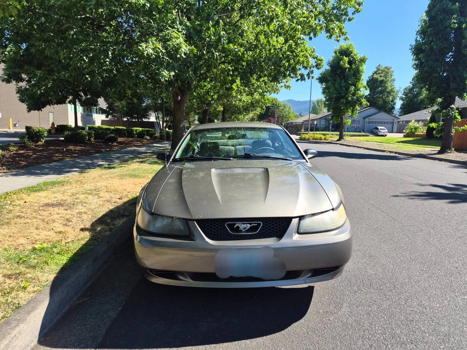2002 Ford SN95 Mustang - Image 2 of 12