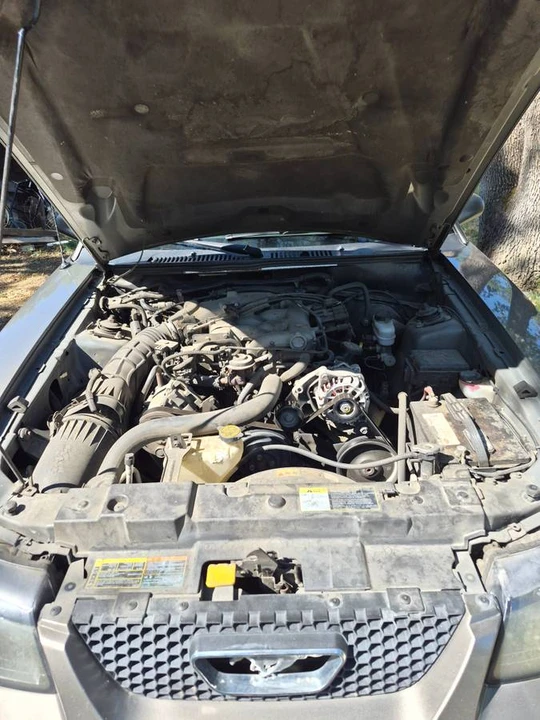 2002 Ford SN95 Mustang - Image 11 of 12