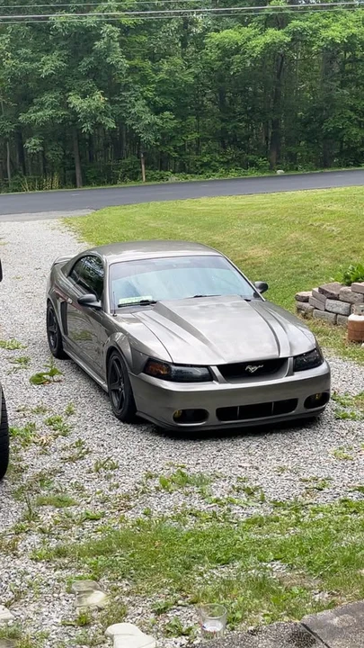 2002 Ford SN95 Mustang - Image 2 of 7