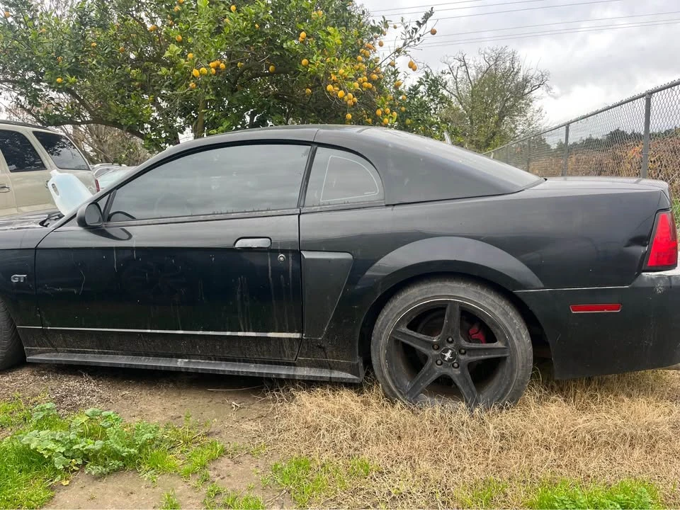 2002 Ford SN95 Mustang - Image 2 of 6