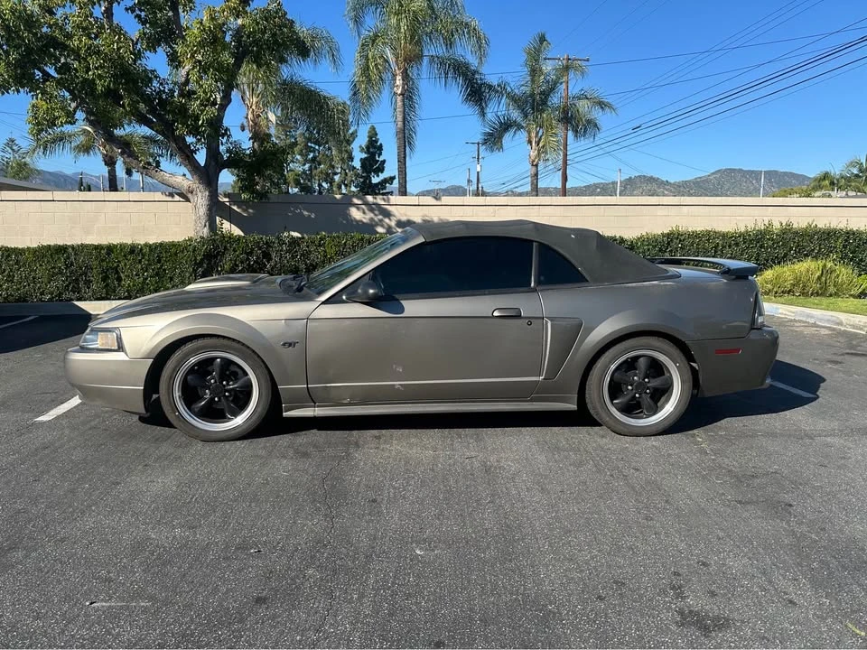2002 Ford SN95 Mustang - Image 3 of 10