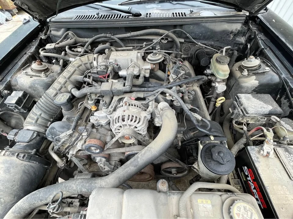 2002 Ford SN95 Mustang - Image 9 of 10
