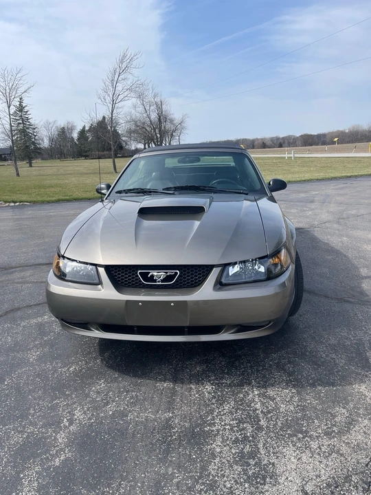 2002 Ford SN95 Mustang - Image 5 of 15