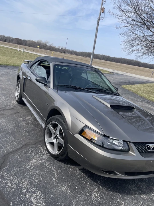 2002 Ford SN95 Mustang - Image 6 of 15