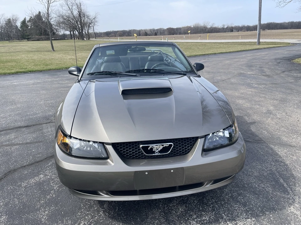 2002 Ford SN95 Mustang - Image 3 of 15