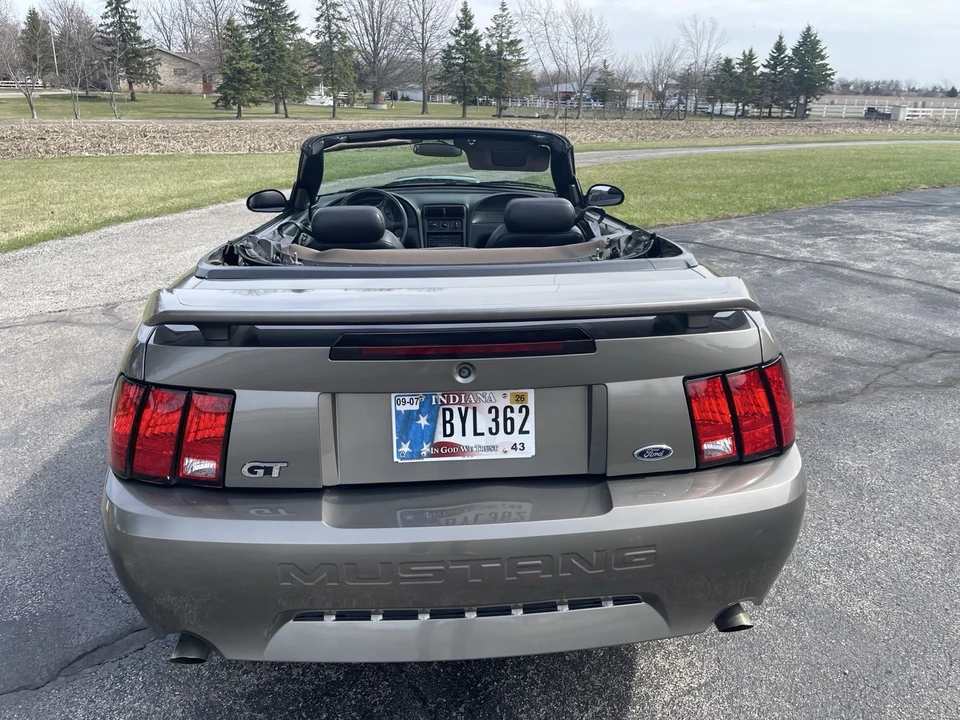 2002 Ford SN95 Mustang - Image 4 of 15