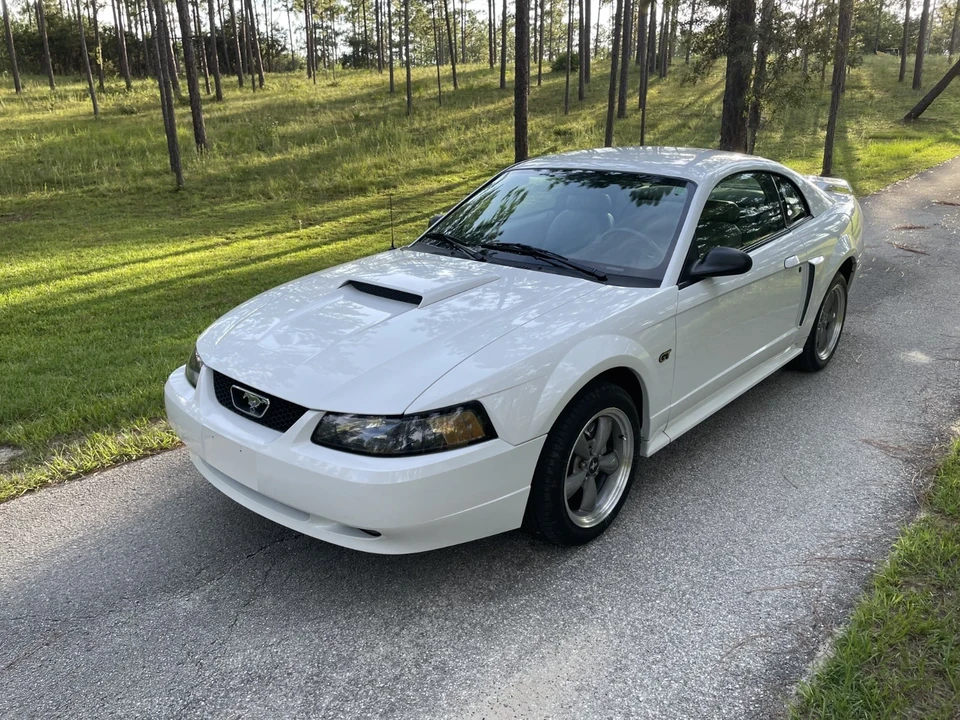 2002 Ford SN95 Mustang - Image 11 of 21