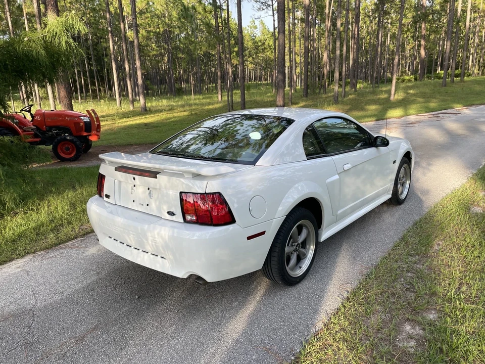 2002 Ford SN95 Mustang - Image 8 of 21
