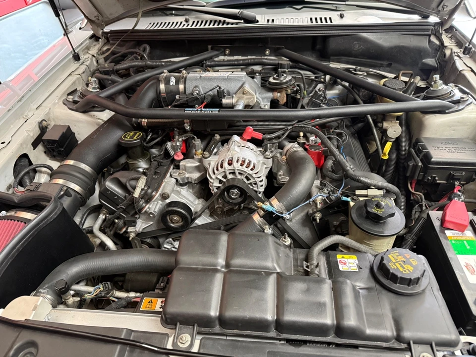 2002 Ford SN95 Mustang - Image 14 of 28