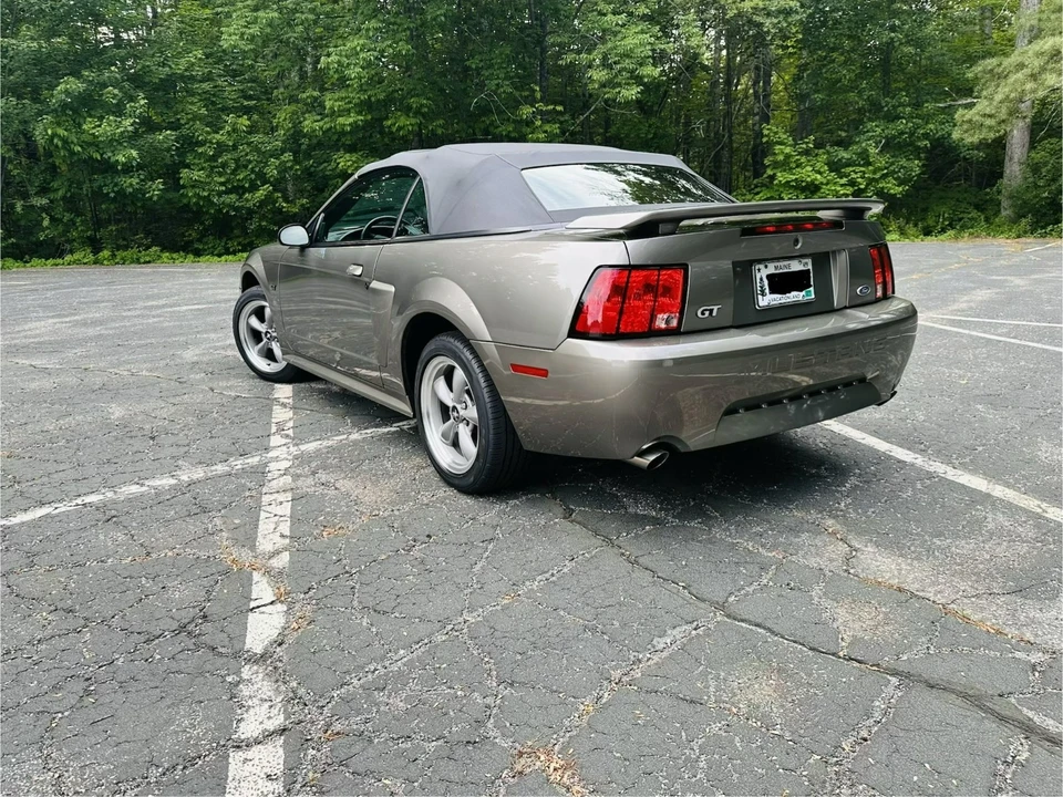 2002 Ford SN95 Mustang - Image 6 of 31