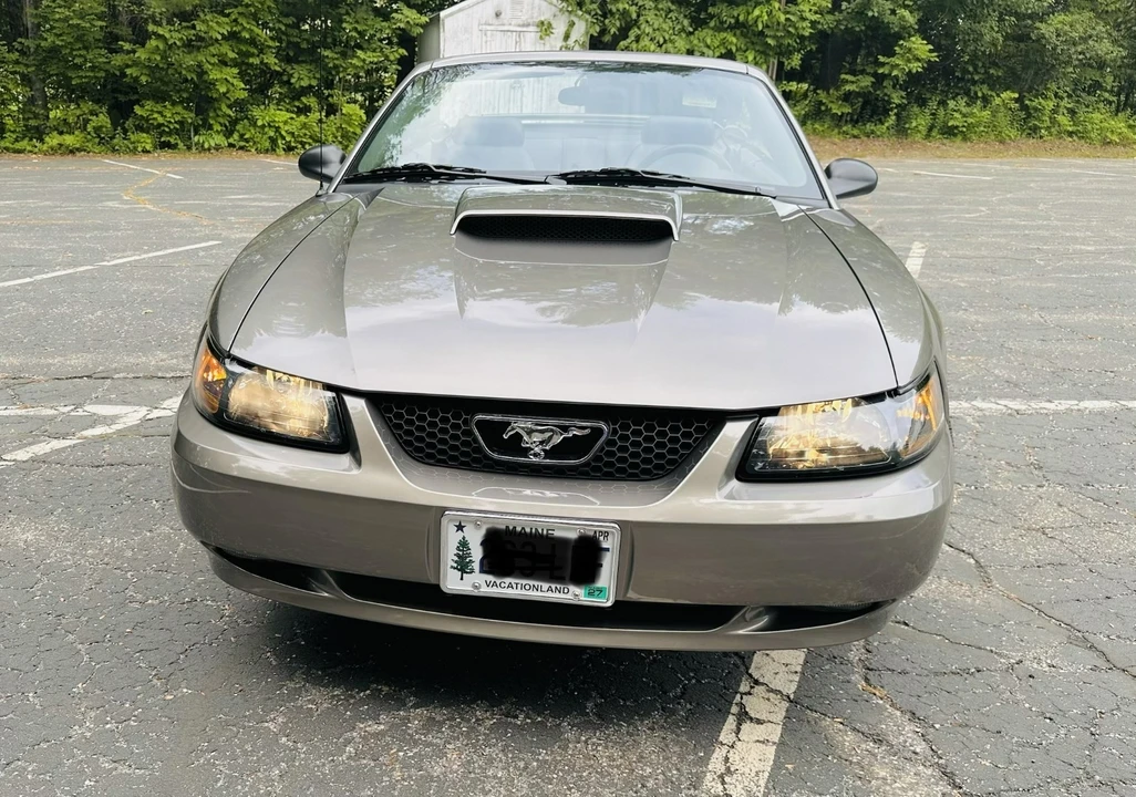 2002 Ford SN95 Mustang - Image 4 of 31