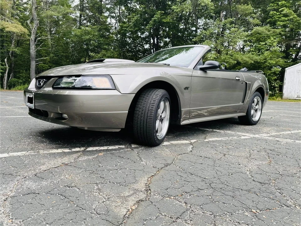 2002 Ford SN95 Mustang - Image 3 of 31