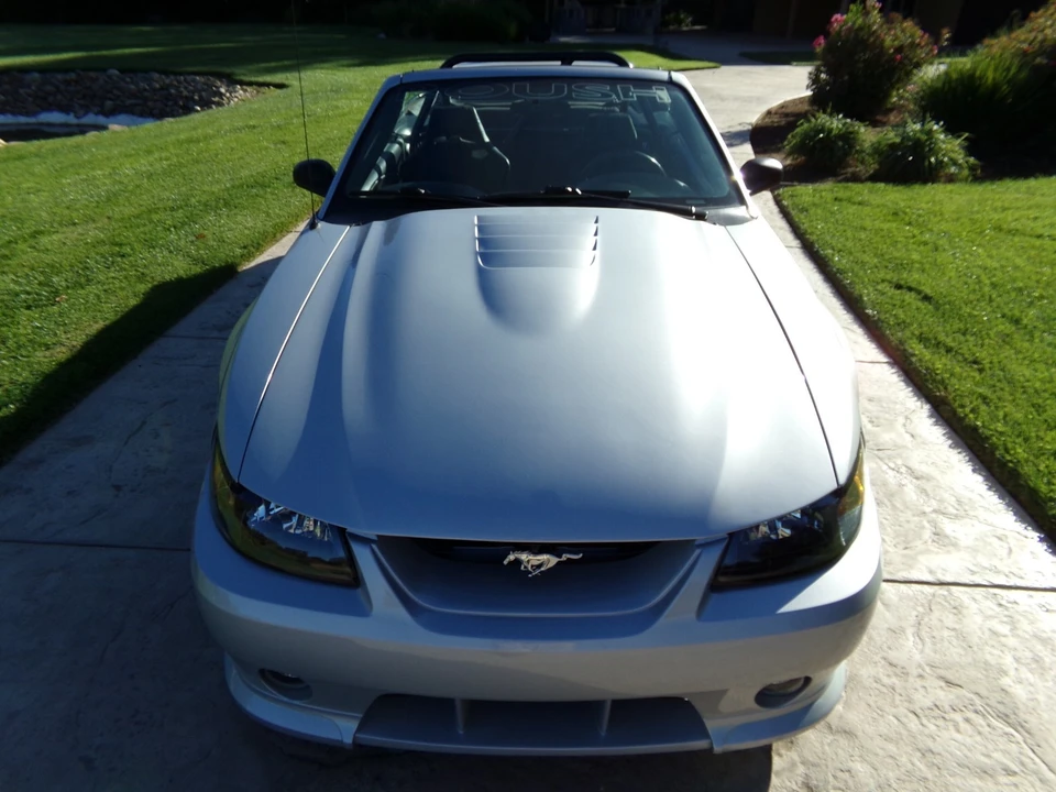 2002 Ford SN95 Mustang - Image 8 of 21