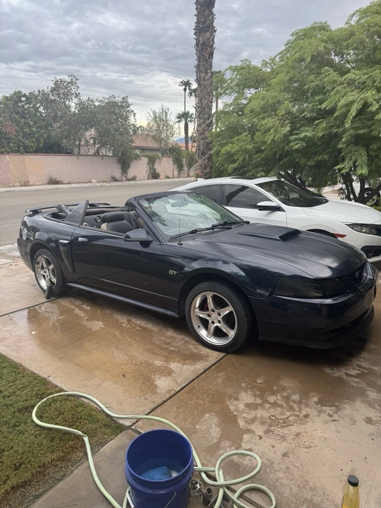 2002 Ford SN95 Mustang - Image 13 of 16