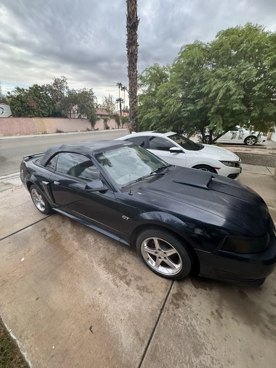 2002 Ford SN95 Mustang - Image 4 of 16