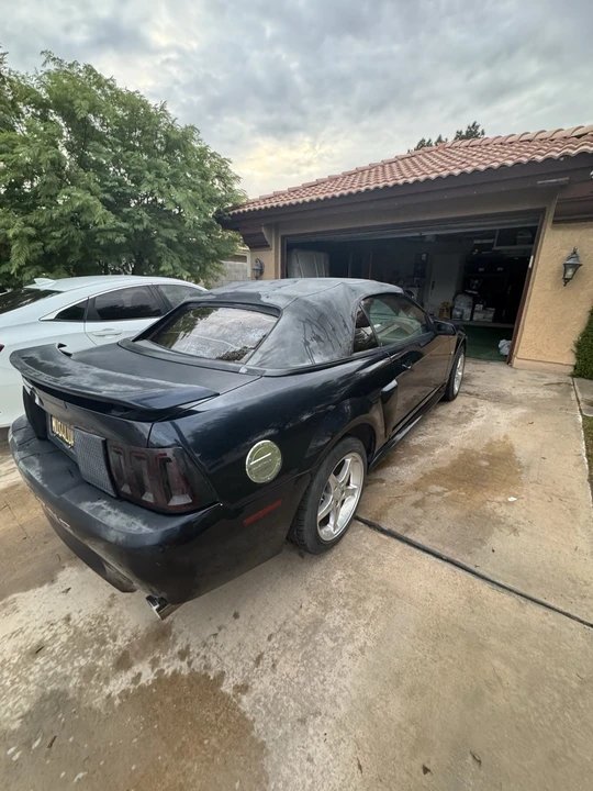 2002 Ford SN95 Mustang - Image 5 of 16