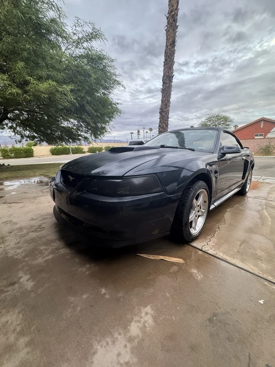 2002 Ford SN95 Mustang - Image 9 of 16
