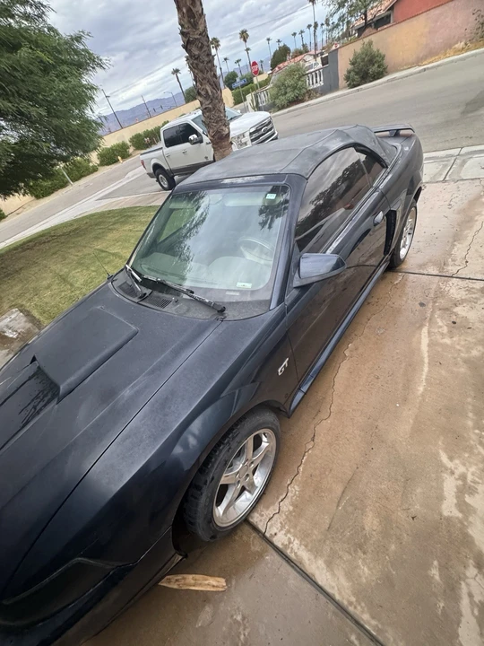 2002 Ford SN95 Mustang - Image 8 of 16