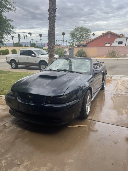 2002 Ford SN95 Mustang - Image 14 of 16