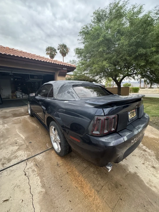 2002 Ford SN95 Mustang - Image 7 of 16