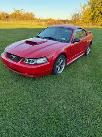 2002 Ford SN95 Mustang - Image 2 of 8