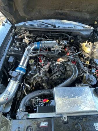 2002 Ford SN95 Mustang - Image 4 of 12