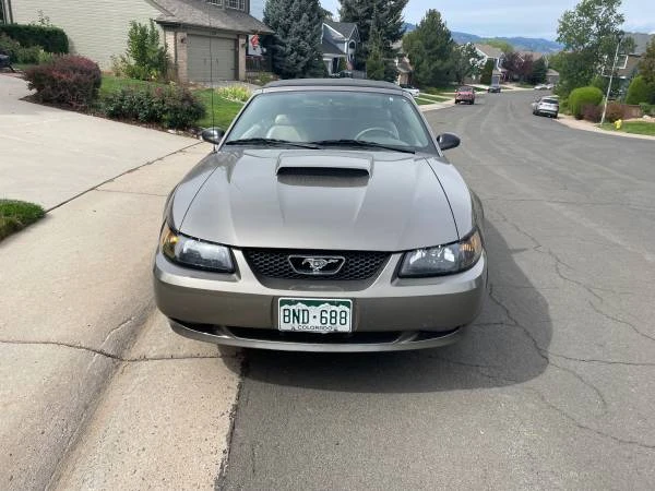 2002 Ford SN95 Mustang - Image 14 of 15