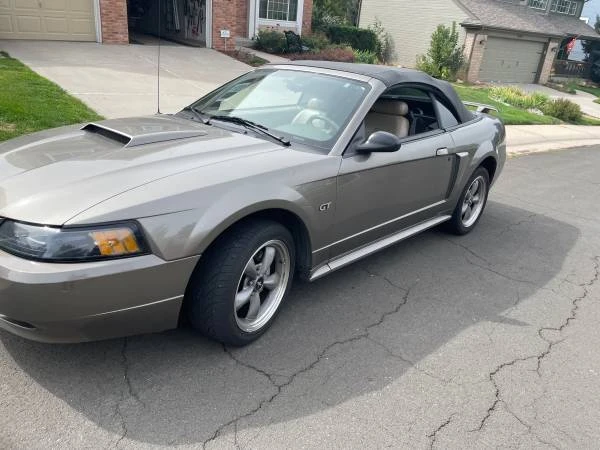 2002 Ford SN95 Mustang - Image 13 of 15