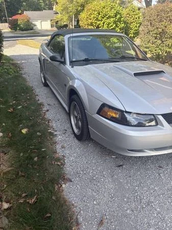 2002 Ford SN95 Mustang - Image 5 of 7