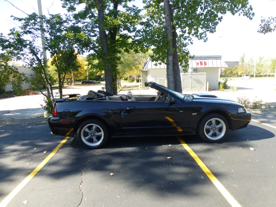 2002 Ford SN95 Mustang - Image 2 of 8