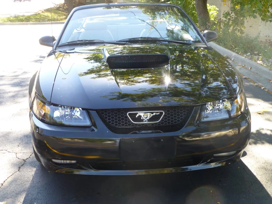2002 Ford SN95 Mustang - Image 6 of 8