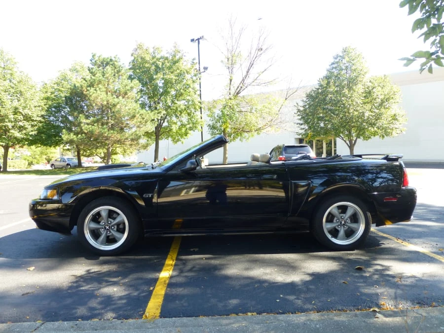 2002 Ford SN95 Mustang - Image 7 of 8