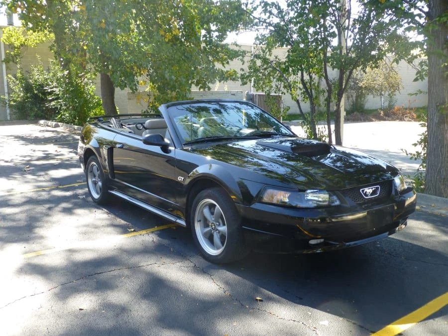 2002 Ford SN95 Mustang - Image 8 of 8