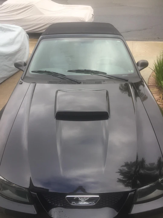 2002 Ford SN95 Mustang - Image 22 of 31