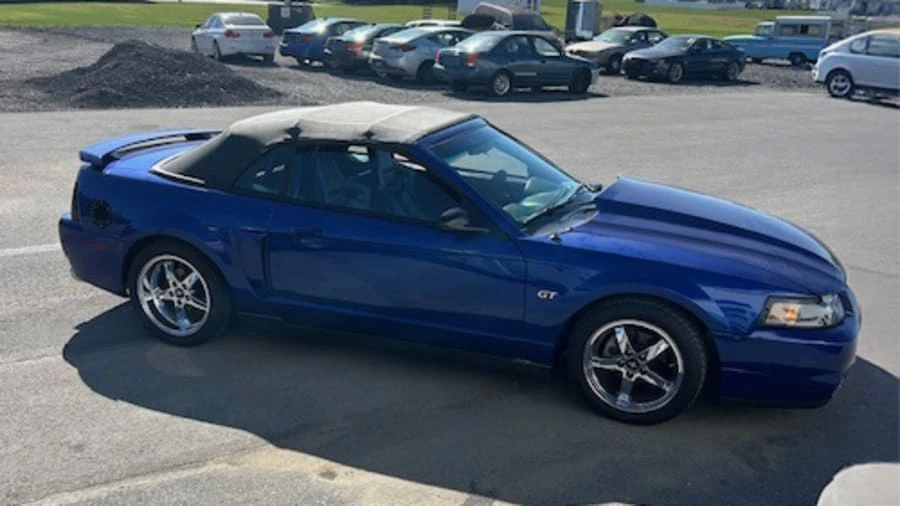 2002 Ford SN95 Mustang - Image 5 of 15