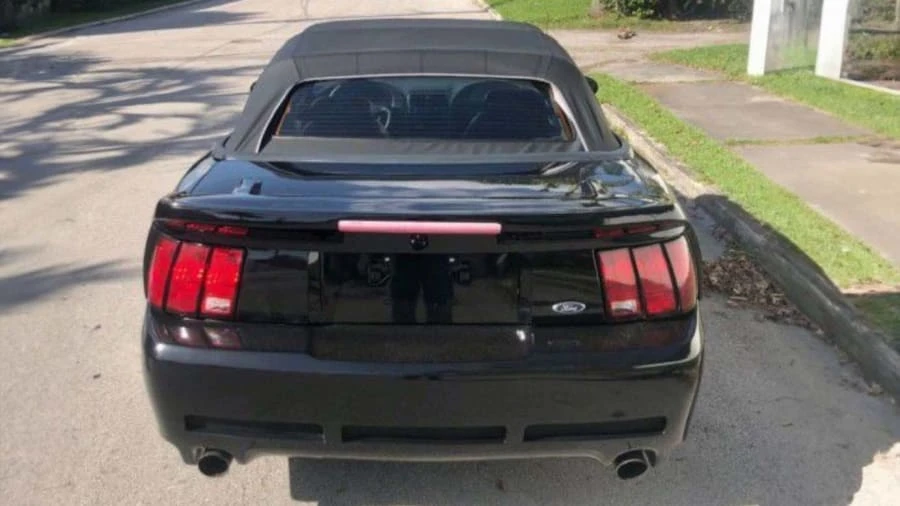 2002 Ford SN95 Mustang - Image 8 of 22