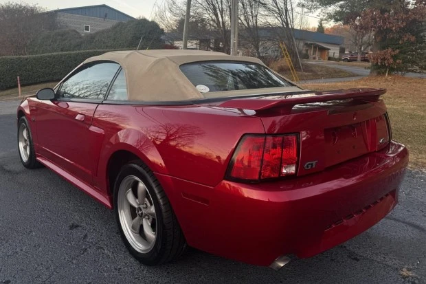 2002 Ford SN95 Mustang - Image 2 of 6