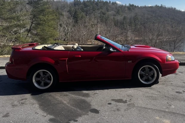 2002 Ford SN95 Mustang - Image 3 of 6