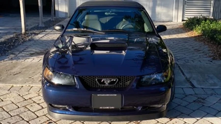 2002 Ford SN95 Mustang - Image 19 of 31