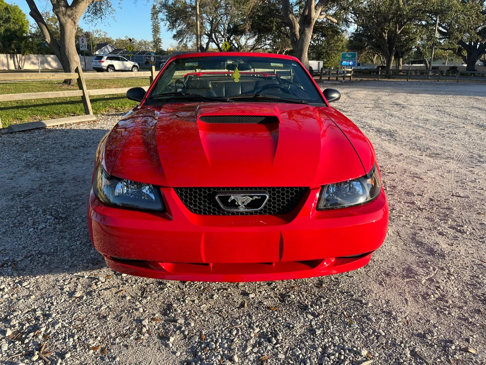 2002 Ford SN95 Mustang - Image 6 of 31