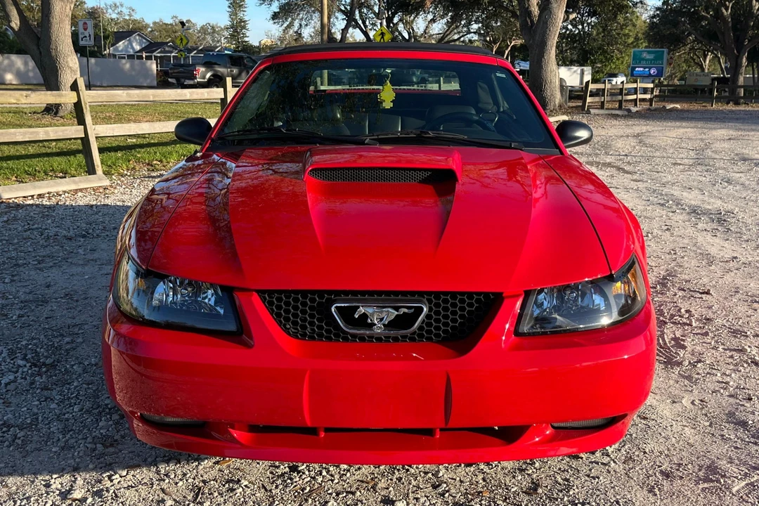 2002 Ford SN95 Mustang - Image 2 of 31
