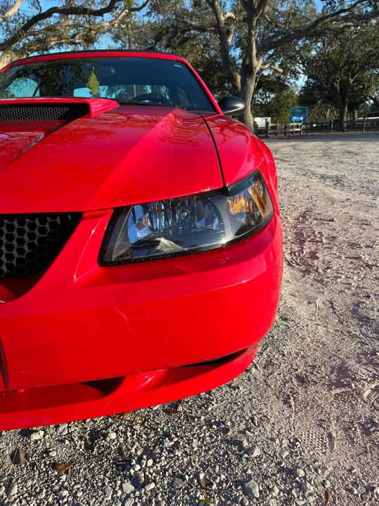 2002 Ford SN95 Mustang - Image 23 of 31