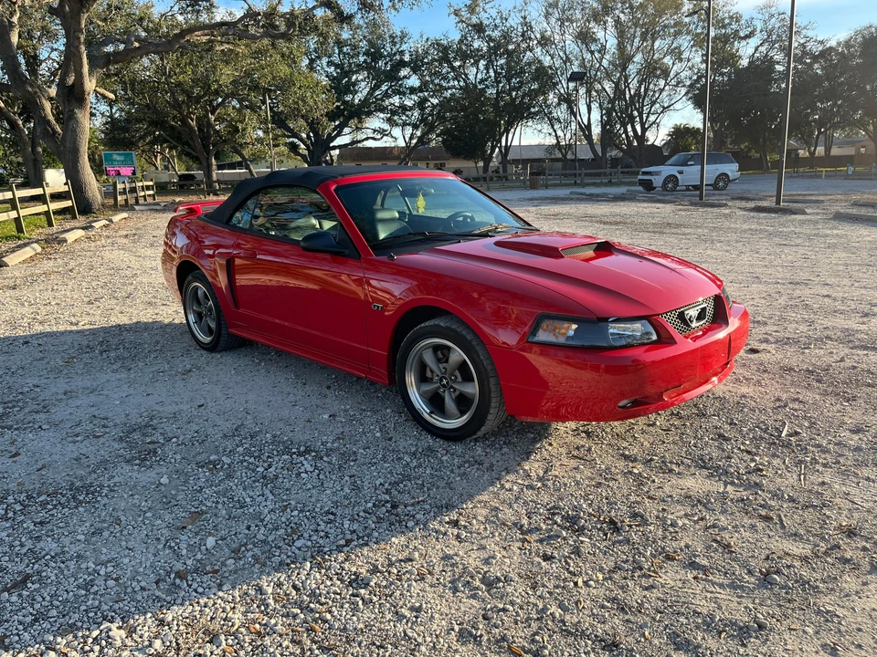 2002 Ford SN95 Mustang - Image 14 of 31
